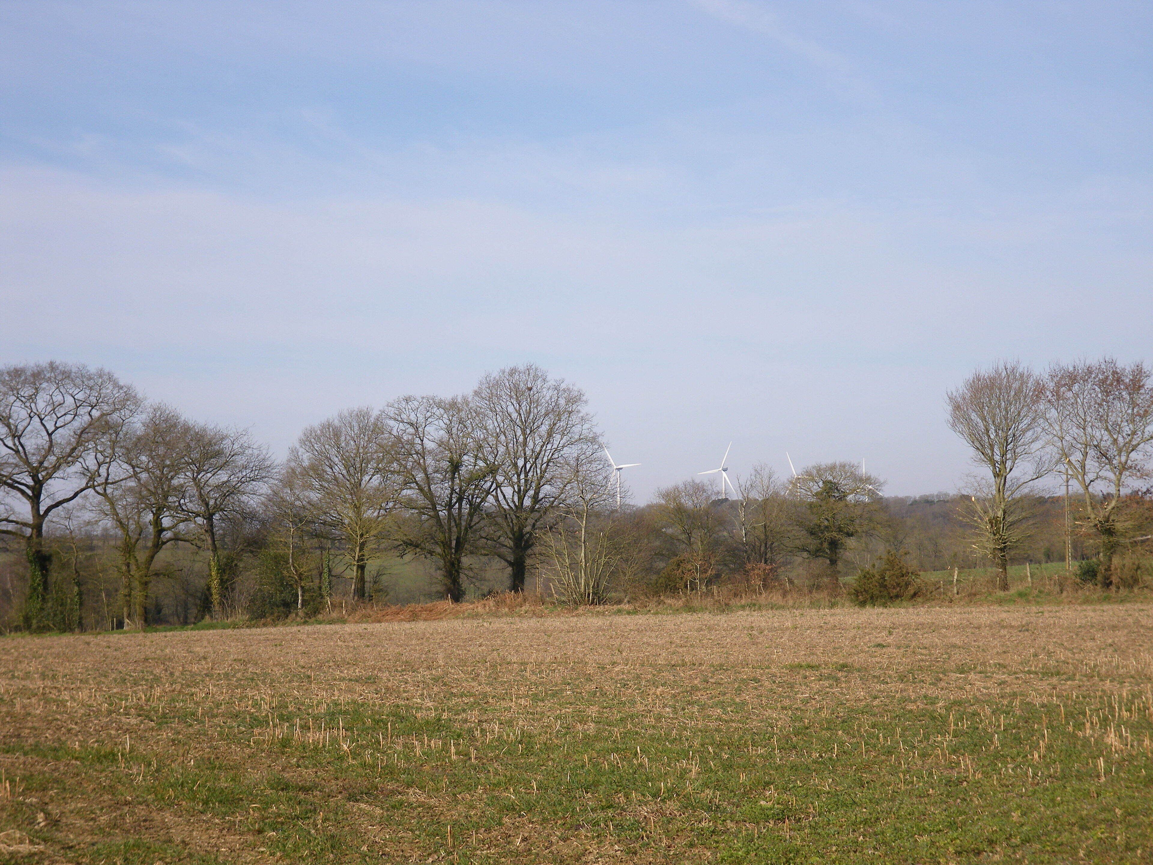 eoliennes aux alentours de bain de bretagne