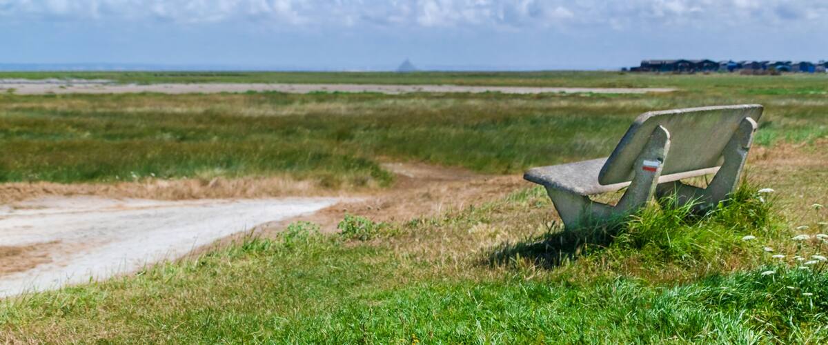 A bench in a grassy field with a clear sky and distant mountains.