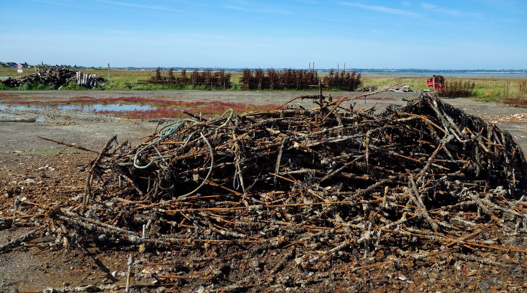 Les vestiges de fer...