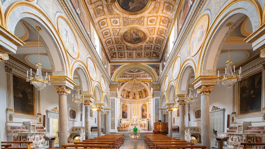 Basilica di Sant\'Antonio which includes a church or cathedral, heritage elements and interior views