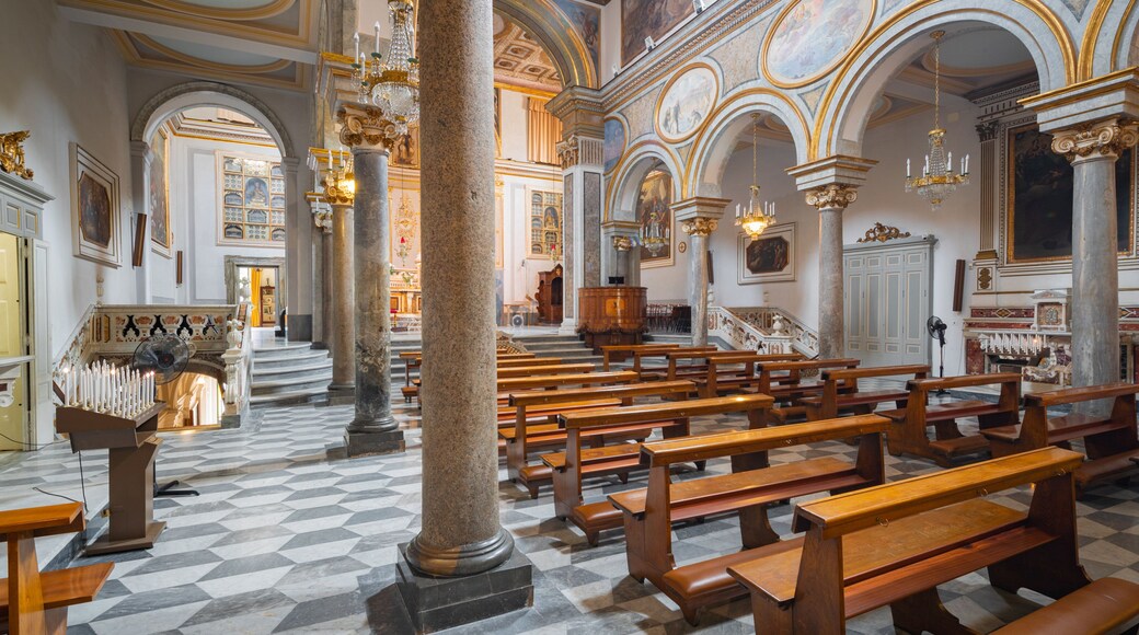 Basilica di Sant\'Antonio which includes a church or cathedral, interior views and heritage elements