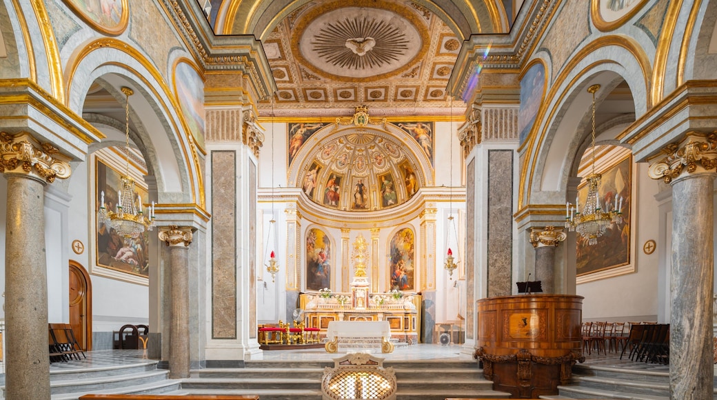 Basilica di Sant\'Antonio which includes heritage elements, interior views and a church or cathedral