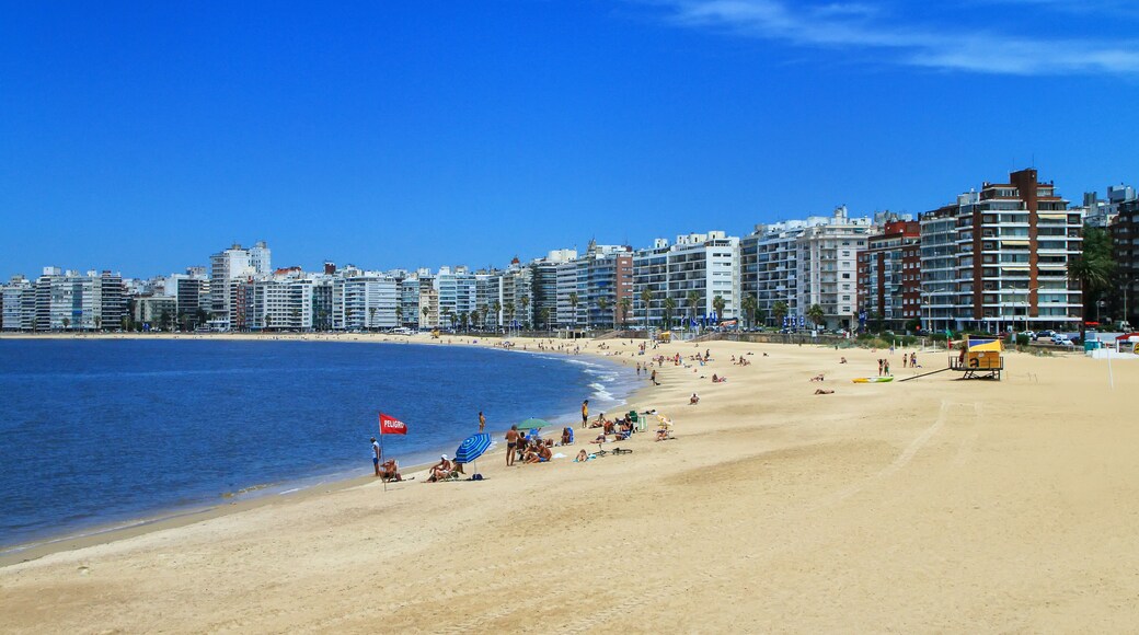 Pocitos beach along the bank of the Rio de la Plata in Montevideo, Uruguay