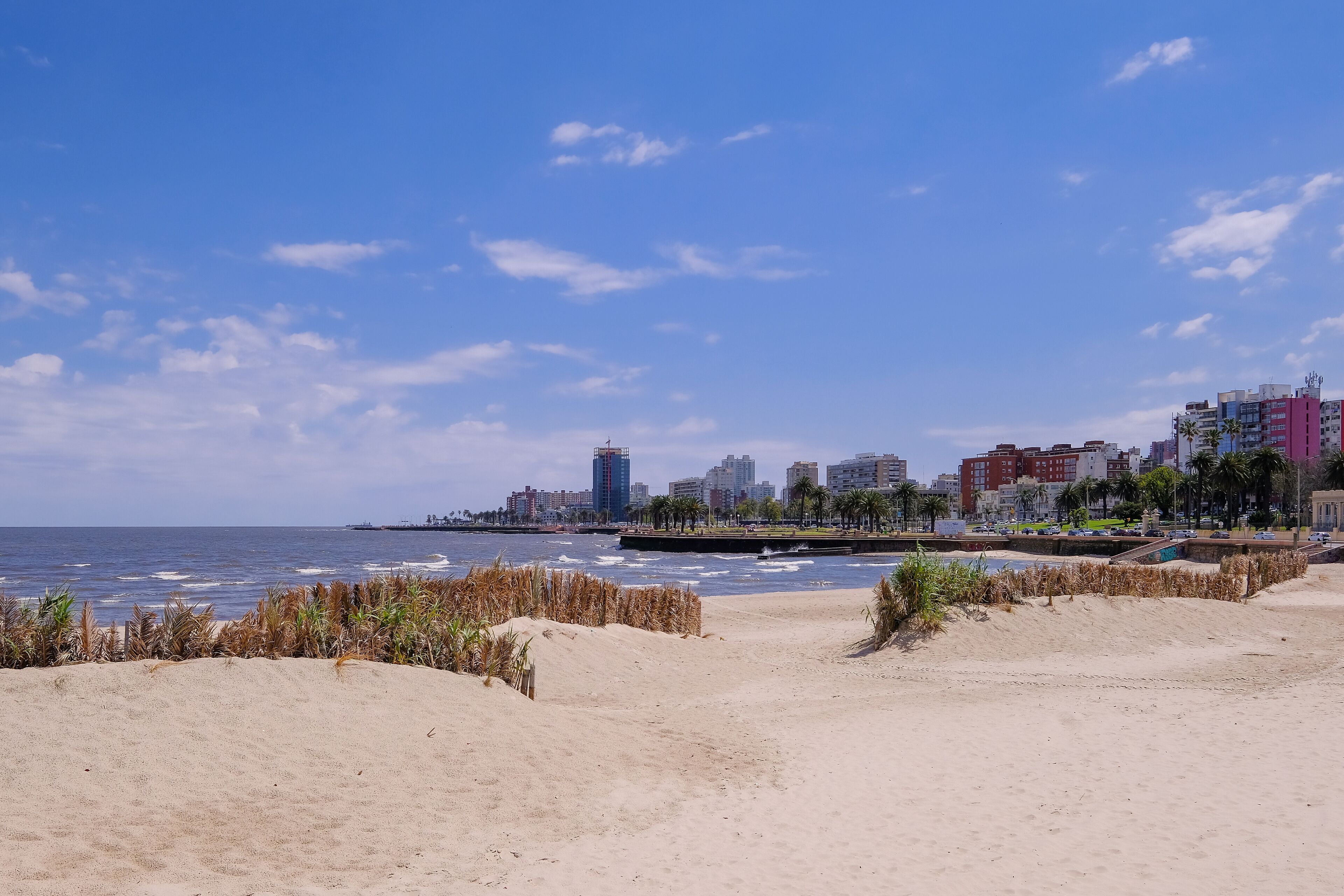 Montevideo beach with sand fence barriers and skyline on a sunny day, Montevideo, Uruguay