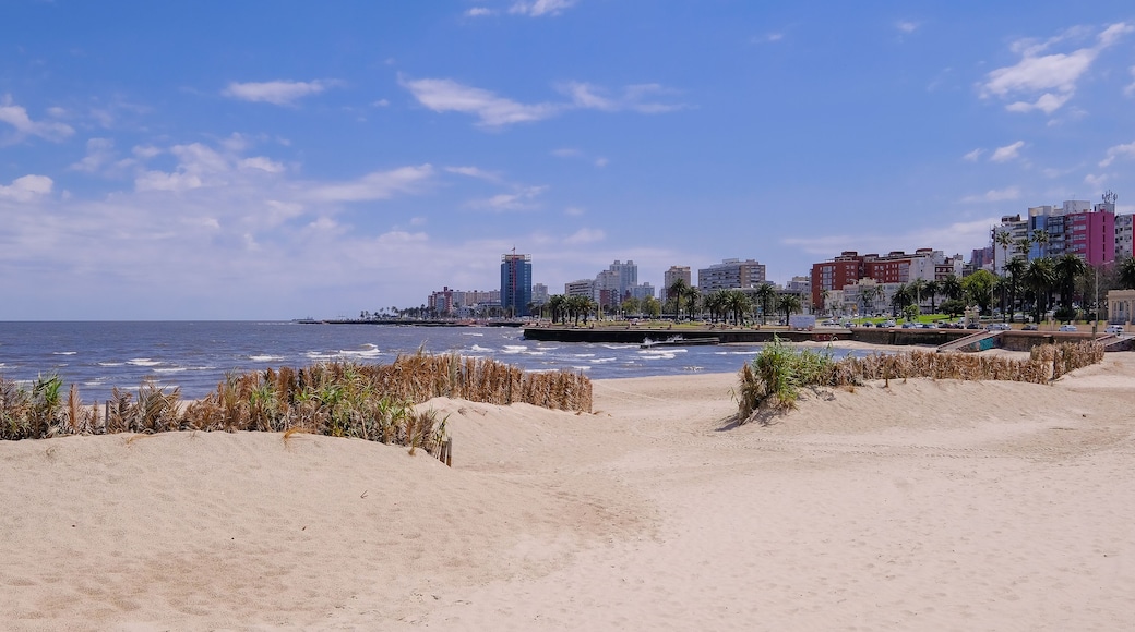 Montevideo beach with sand fence barriers and skyline on a sunny day, Montevideo, Uruguay