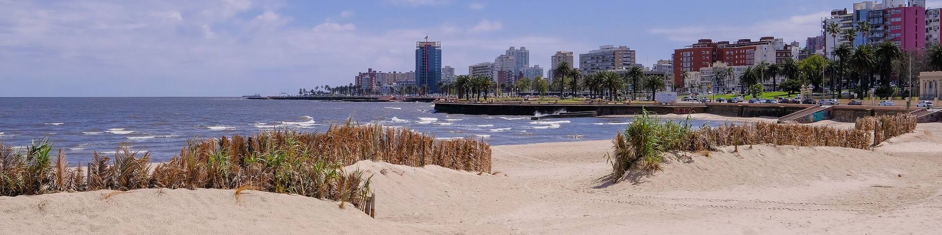 Montevideo beach with sand fence barriers and skyline on a sunny day, Montevideo, Uruguay