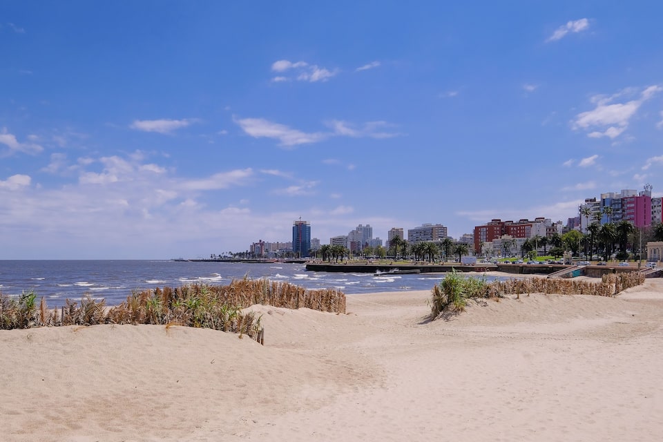 Een strand met duinen, een stadsachtergrond en een waterpartij.