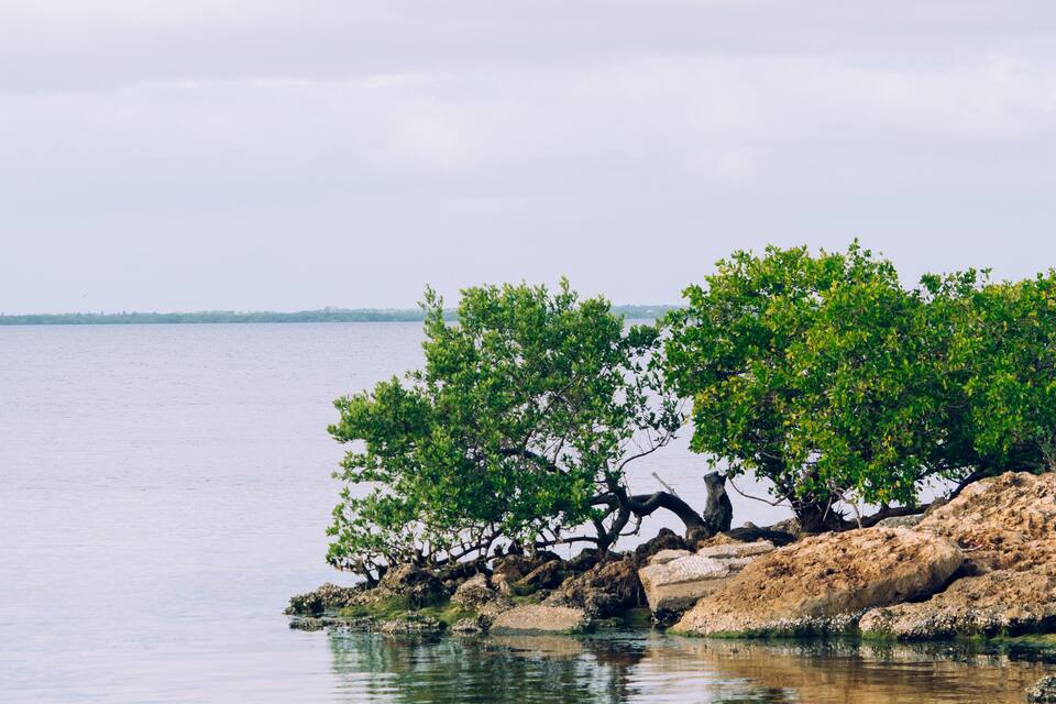 A calm lake with rocky shores and green trees.