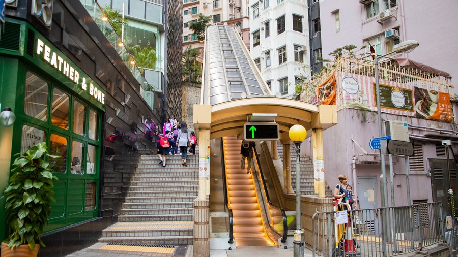 A staircase leading up to a building with a sign that reads "FEATHER & BONE".