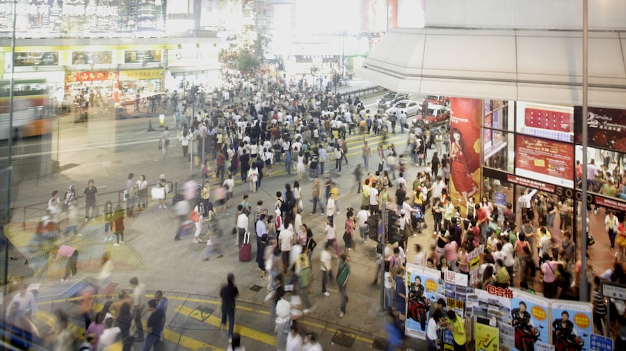 Causeway Bay Typhoon Shelter showing street scenes and a city as well as a large group of people
