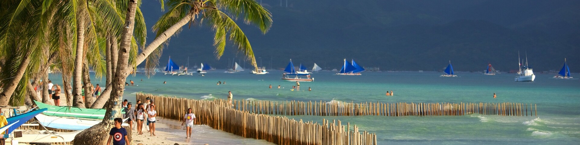 Una playa con palmeras, una valla de madera y barcos en el agua.