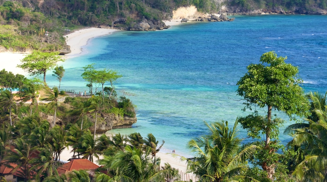 Mt. Luho som viser sandstrand, tropisk landskap og bukt eller havn