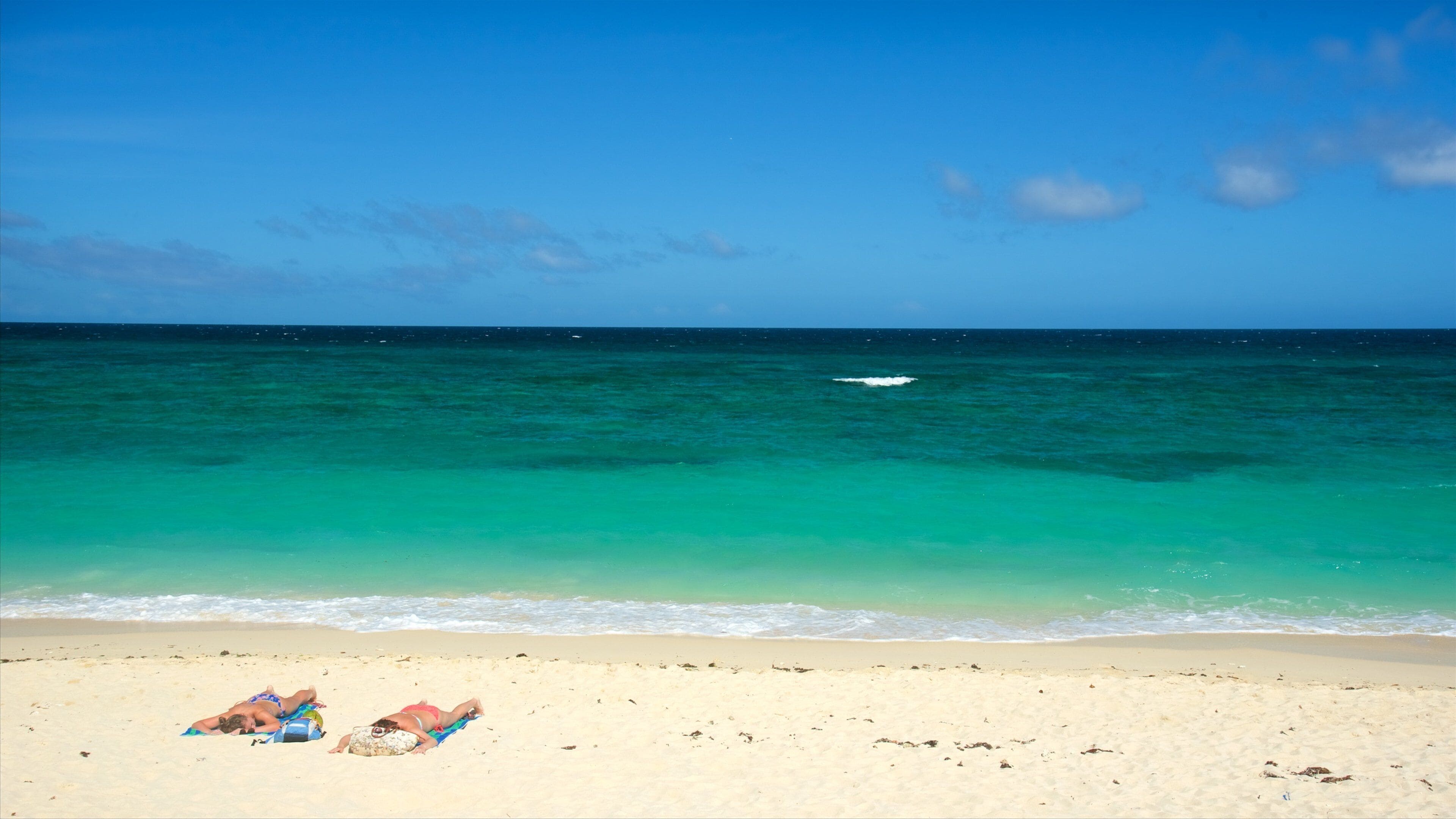 Ilig-Iligan Beach showing tropical scenes and a beach as well as a couple