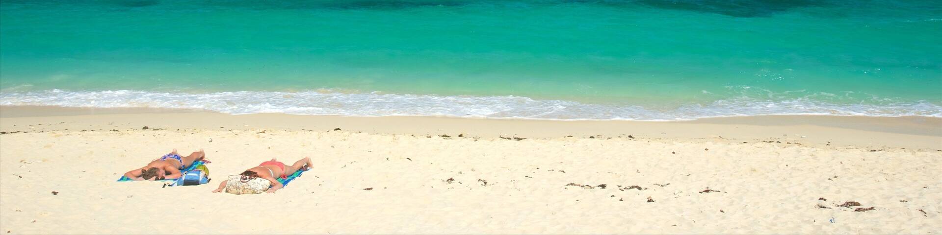 Ilig-Iligan Beach showing tropical scenes and a beach as well as a couple