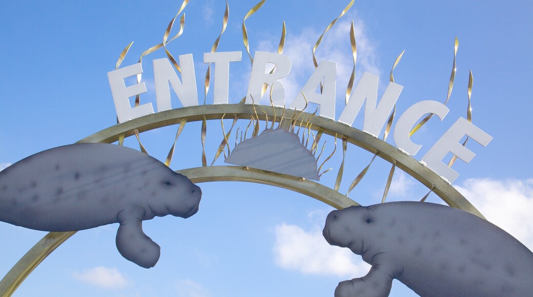 Manatee Viewing Center