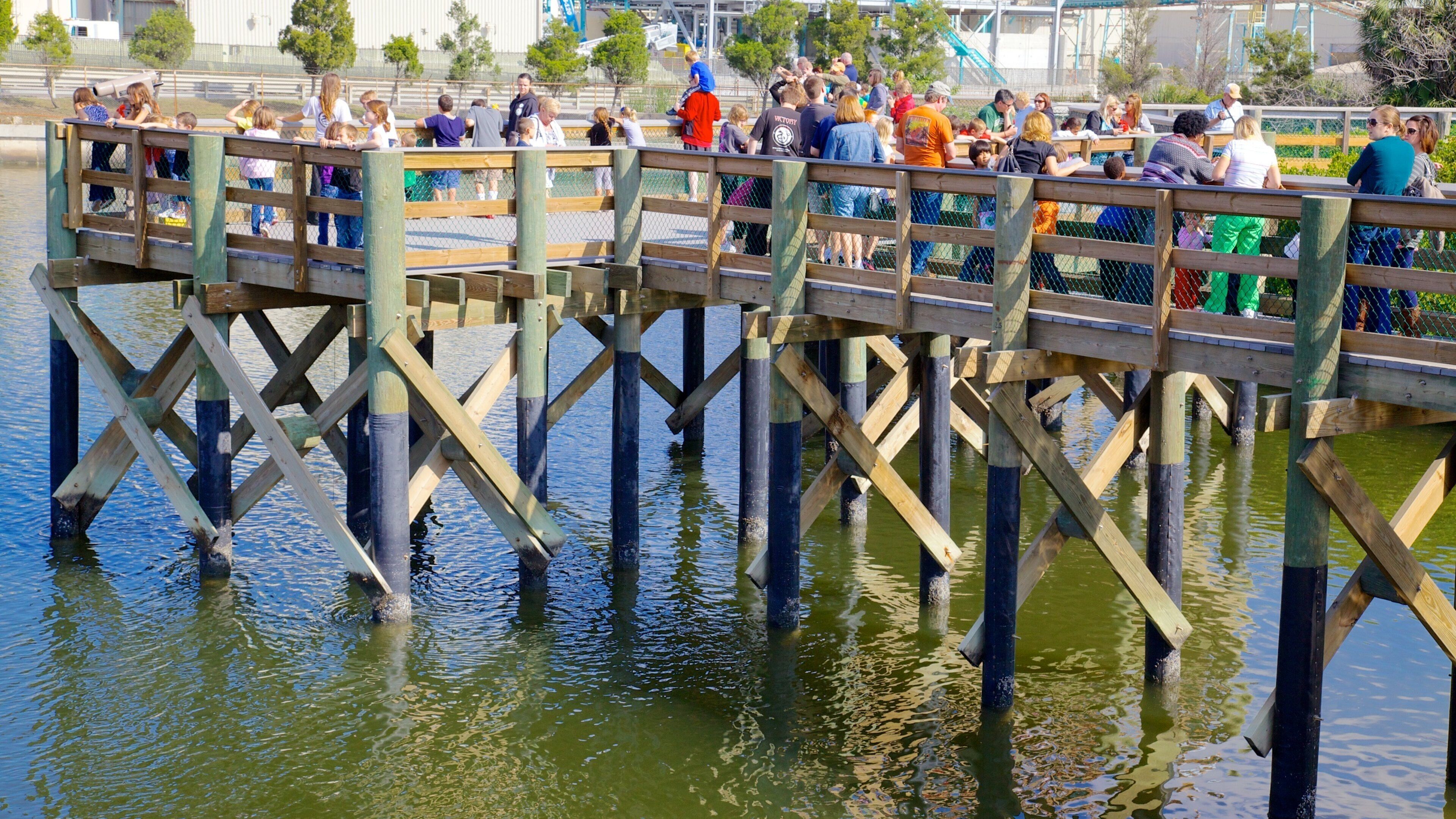 Manatee Viewing Center as well as a large group of people