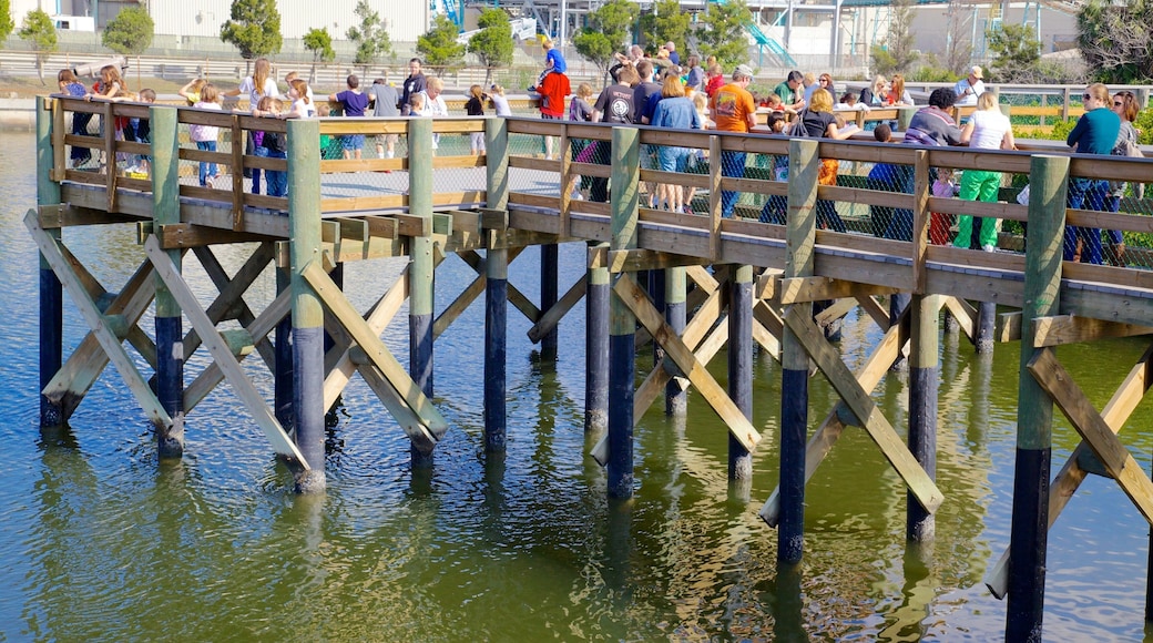 Manatee Viewing Center as well as a large group of people