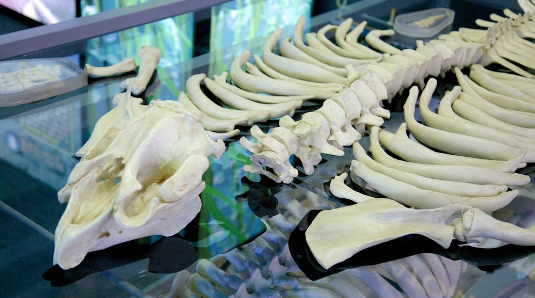 Manatee Viewing Center showing interior views
