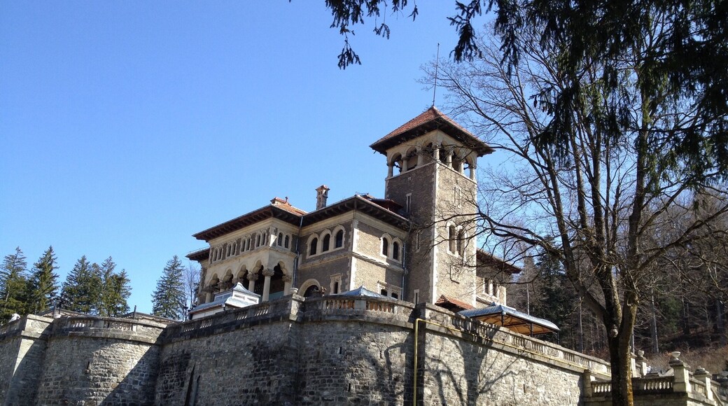 Cantacuzino Castle is situated on Zamora Street in Bușteni, Romania. The building, whose construction was completed in 1911, was conducted by the architect Gregory Cerchez at the request of Prince George Grigore Cantacuzino. It is built in Neo-Romanian style; the total surface of the estate is over 3,000 square meters.
The castle belonged to the Cantacuzino family until the forced nationalization of 1948, when it became a sanatorium for the Ministry of Internal Affair. During the communist period, the original furniture was removed and a part of the interior walls were painted over. After 1989, the castle was returned to Cantacuzino descendants, who sold it to private investors in 2004.
