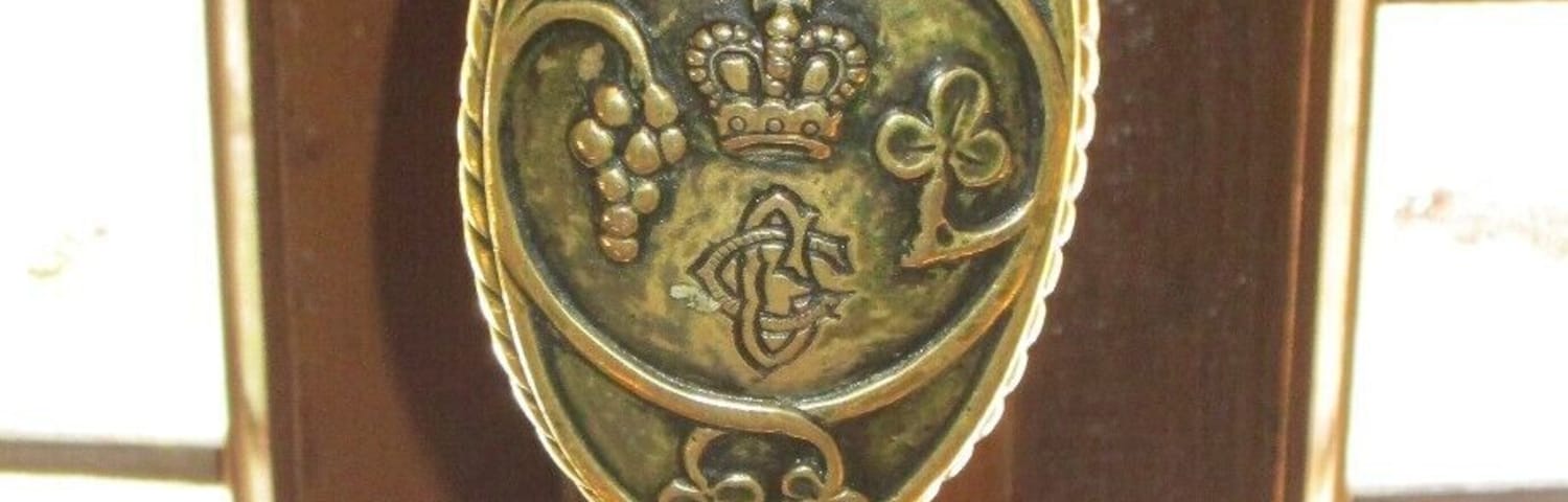 Intricately designed metal doorknob in Cantacuzino Castle.