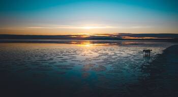 Dawn at the beach on Sandymount strand in Dublin, Ireland.