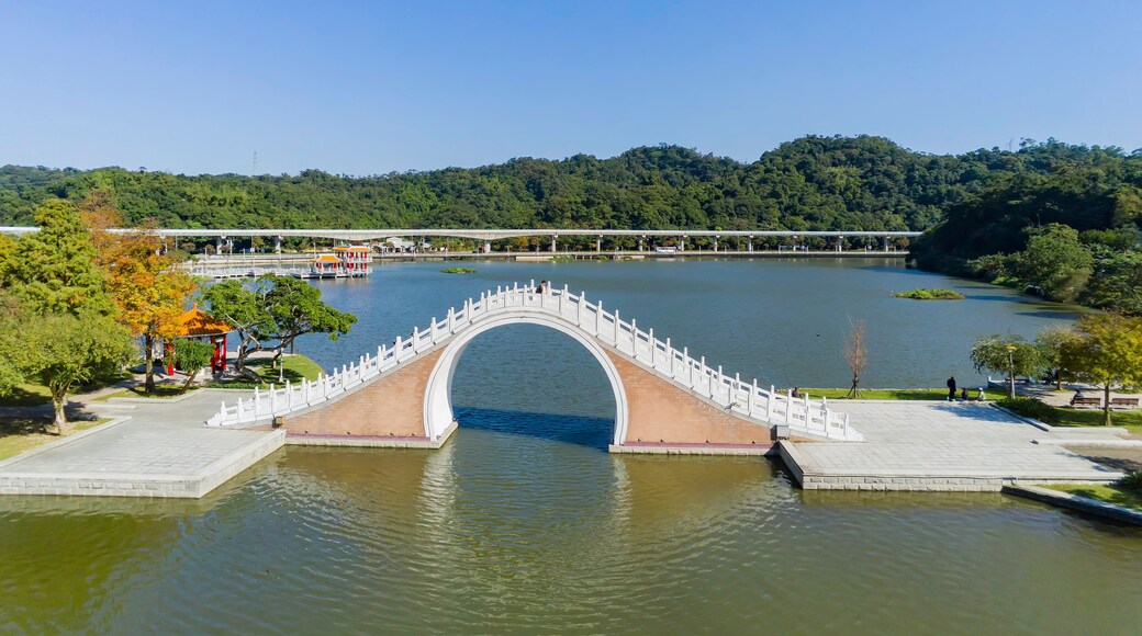 Un pont blanc d'arc corbat sobre un riu, envoltat de verdura i un cel blau clar.