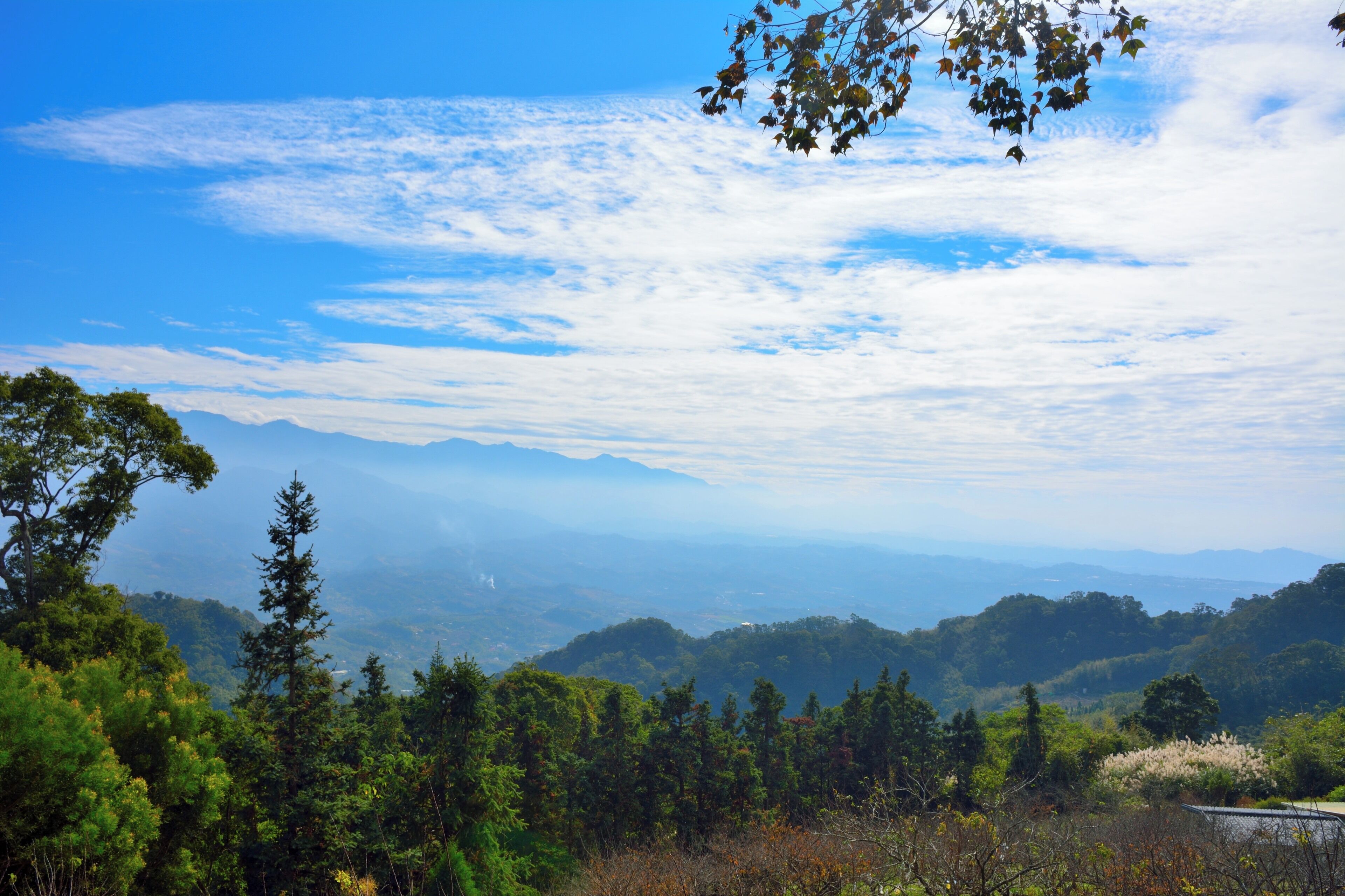 364, Taiwan, 苗栗縣大湖鄉栗林村