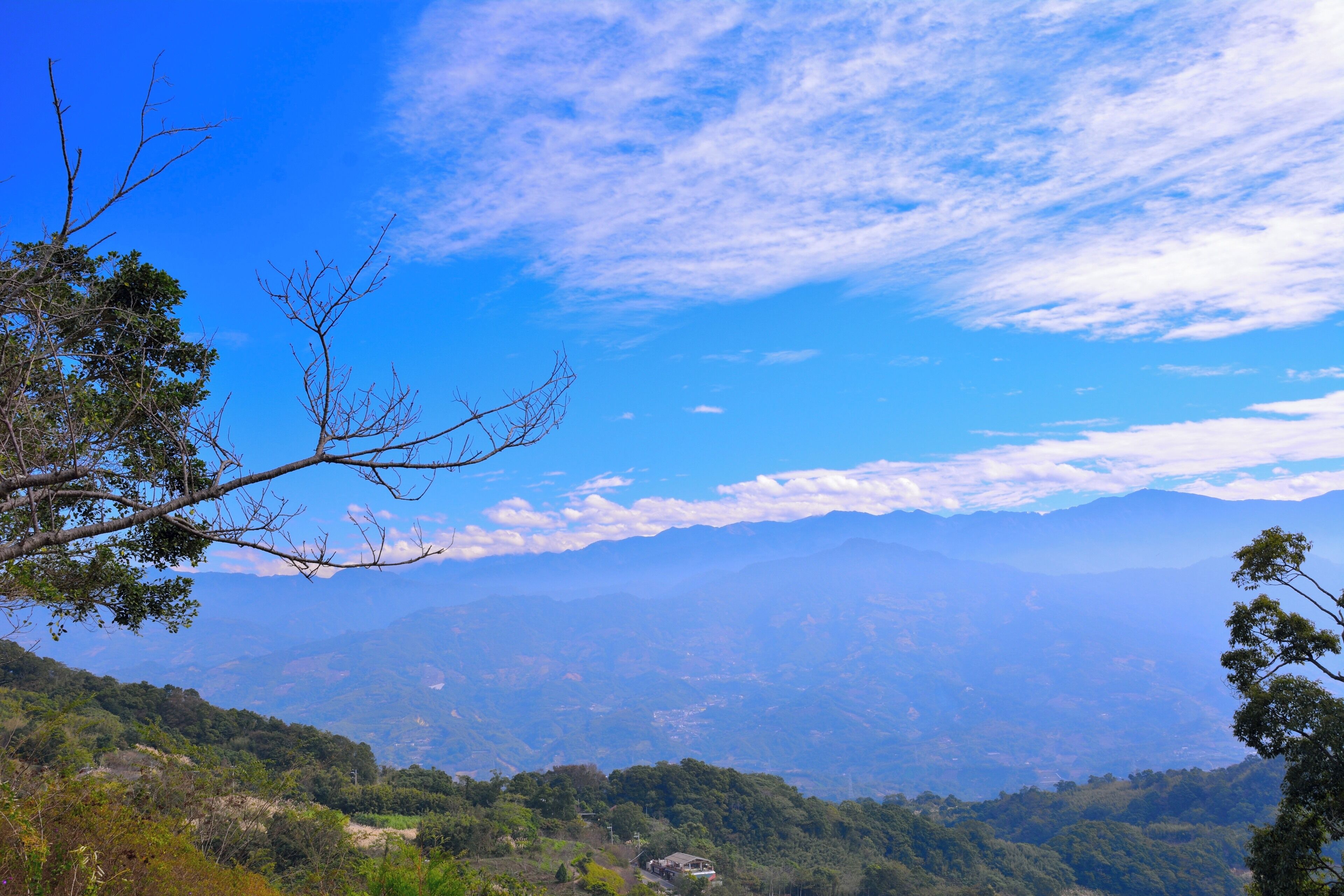 364, Taiwan, 苗栗縣大湖鄉栗林村