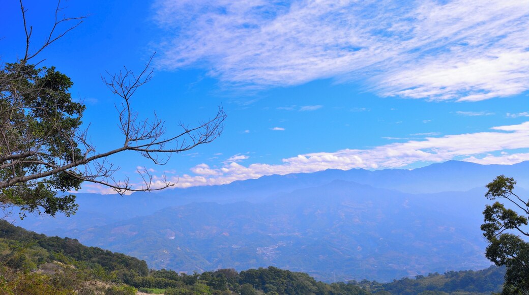 364, Taiwan, 苗栗縣大湖鄉栗林村