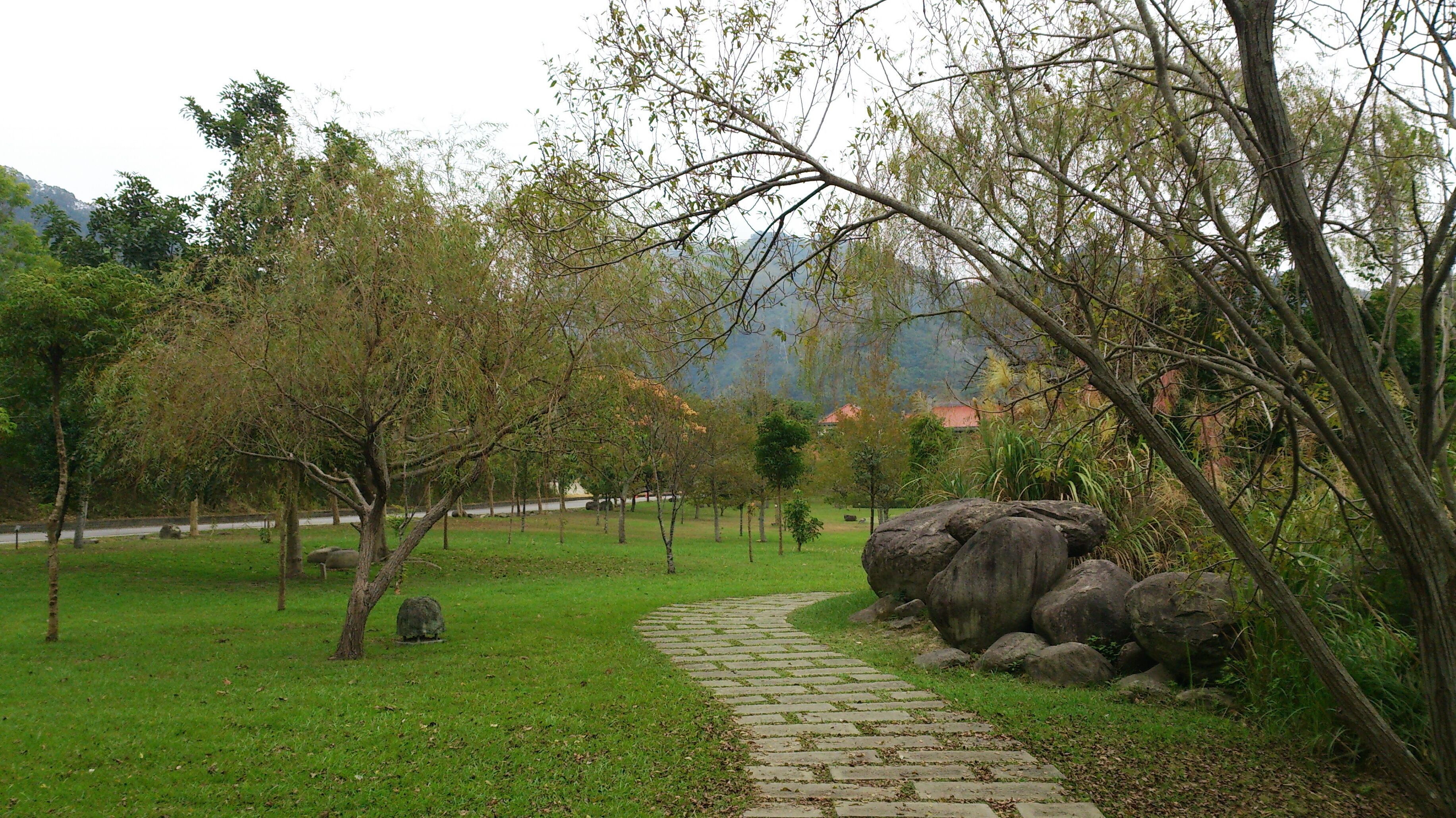 Uma trilha de pedra em um parque com árvores e pedras.
