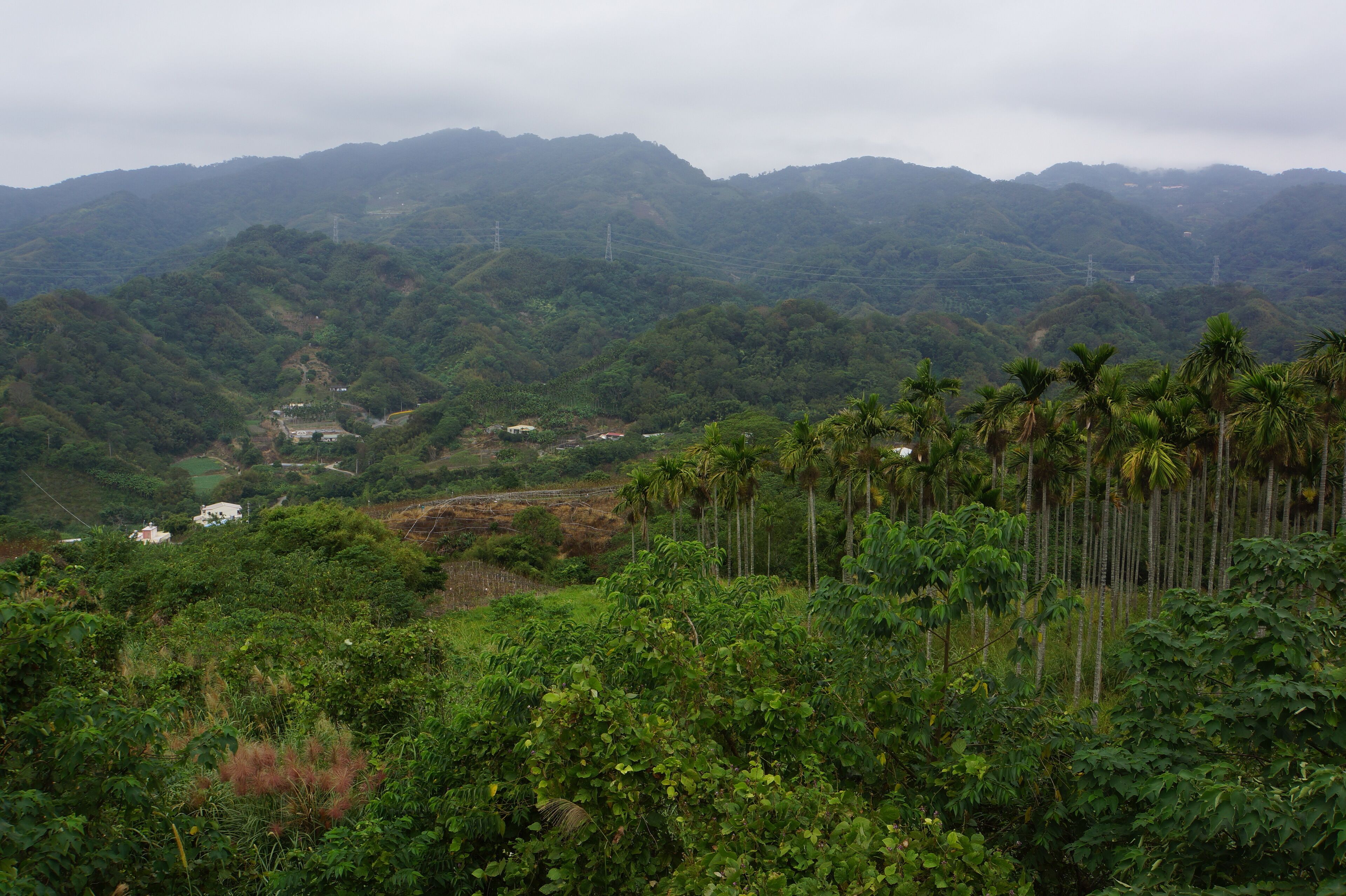 老官道路 Laoguan Road