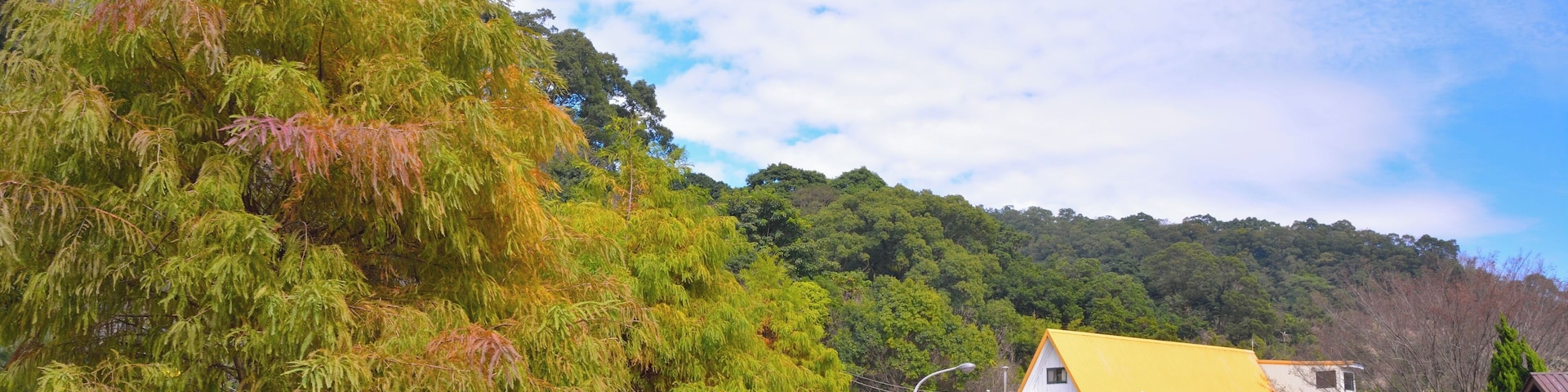 364, Taiwan, 苗栗縣大湖鄉栗林村