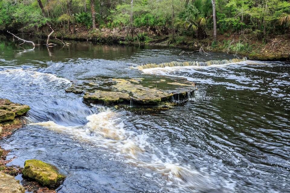 A flowing river with rocks and a forested area in the background.