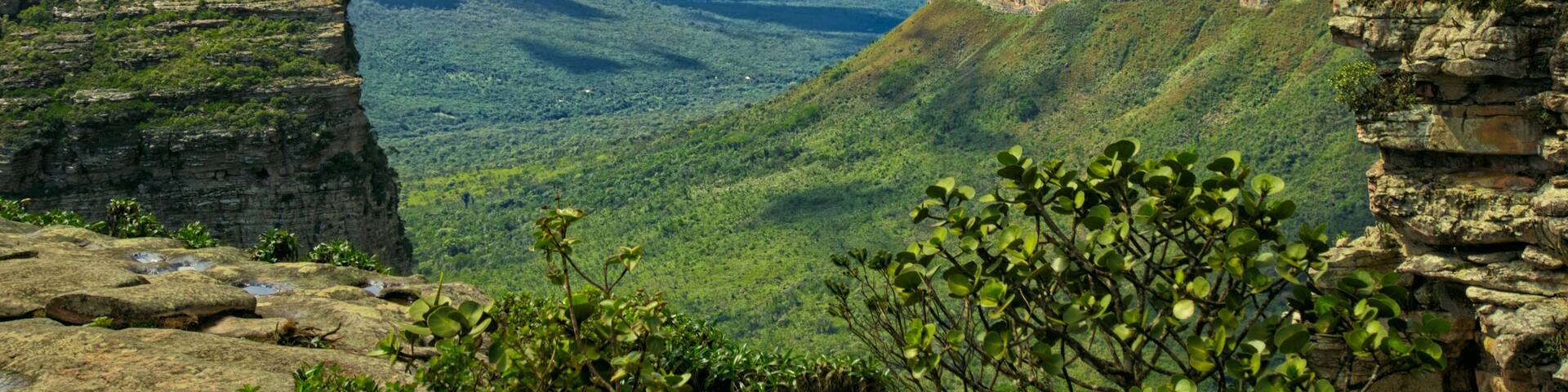 A vast canyon with steep cliffs and lush greenery.