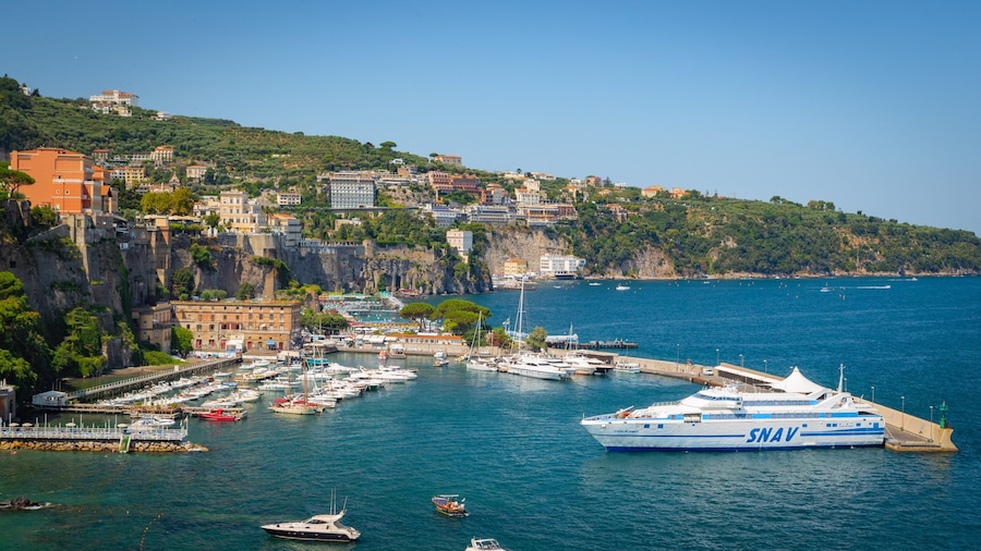 A coastal town with a marina, boats, and buildings on a hillside.