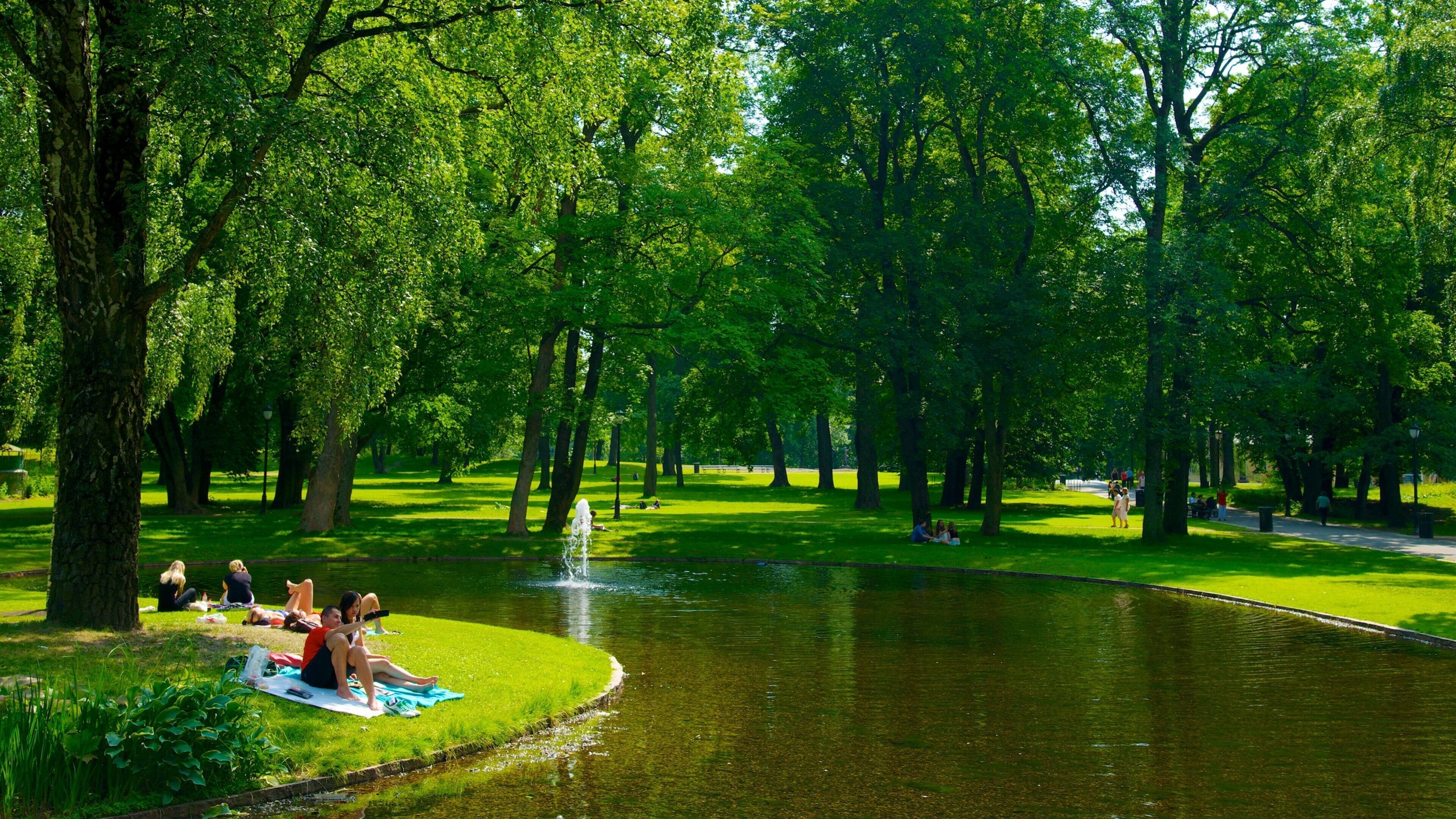 Palace Park showing picnicing, a park and a pond