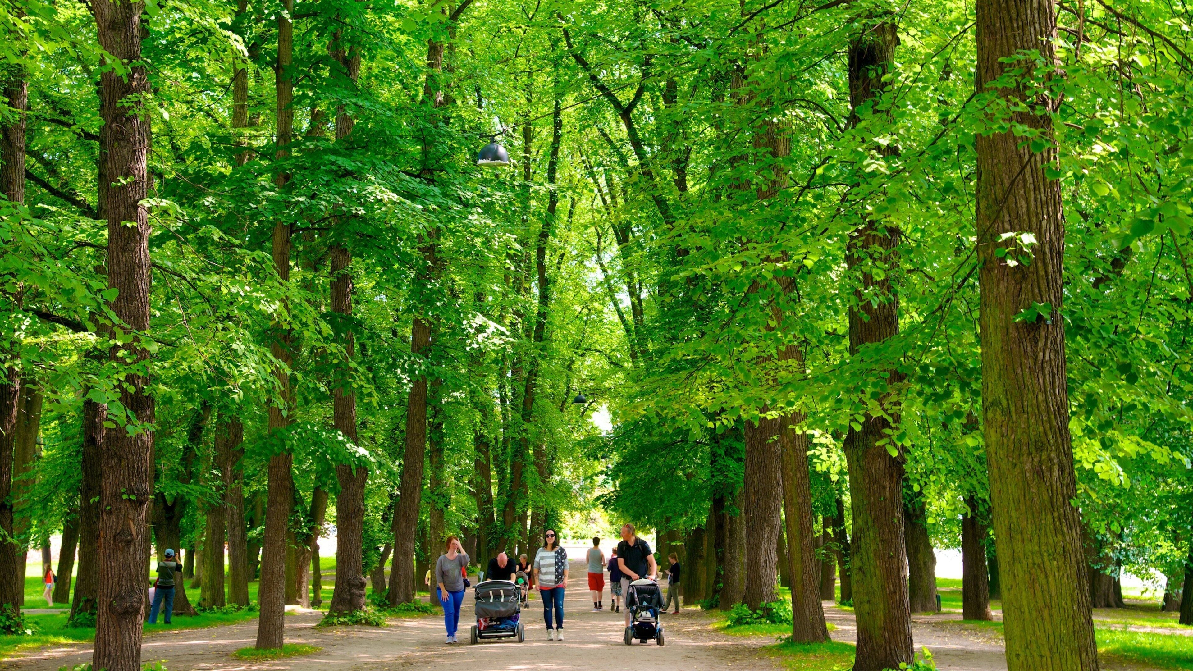 Parc du Palais qui includes un jardin