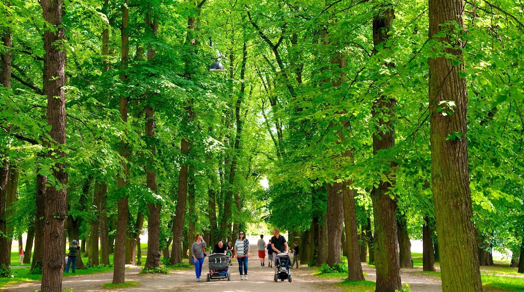 Palace Park que incluye un jardín