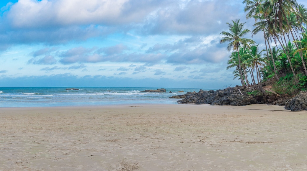 ์ผ๋ฃจ์ค-์ดํ์นด๋ 