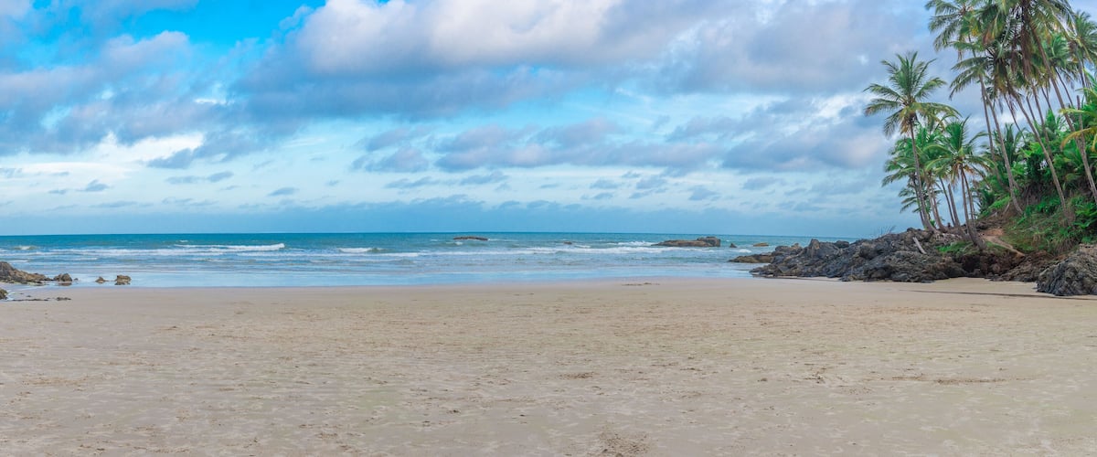 A beach with a rocky shoreline, palm trees, and a clear sky.