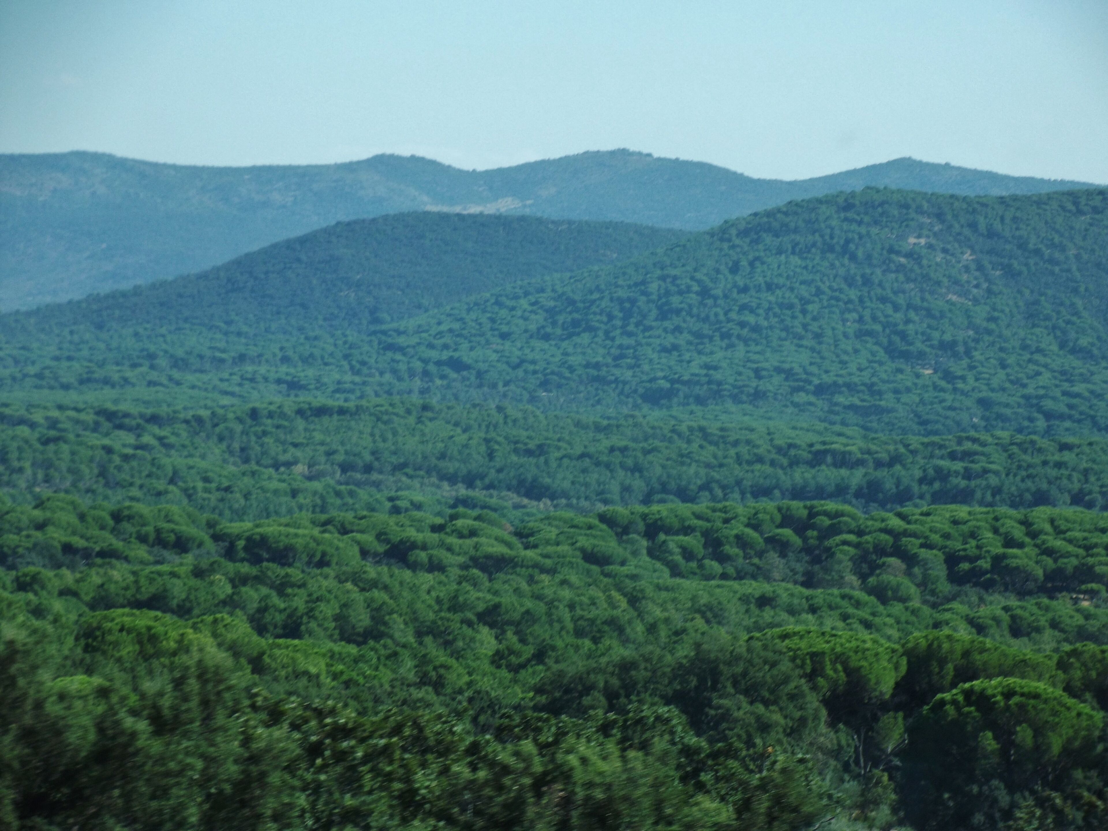 Valle del Tiétar, desde la CL-501, en las proximidades de Piedralaves.
