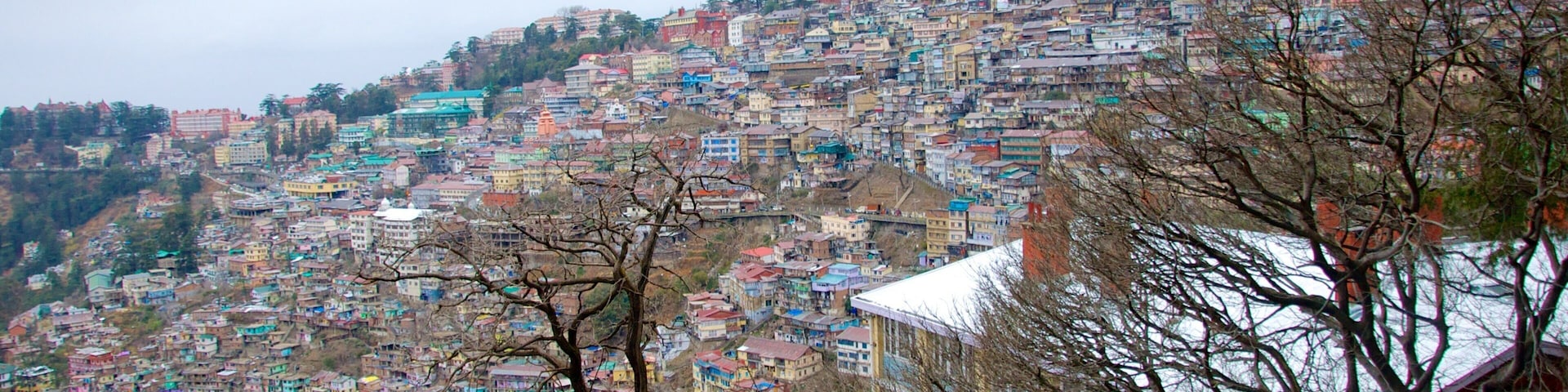 Shimla Mall showing a city