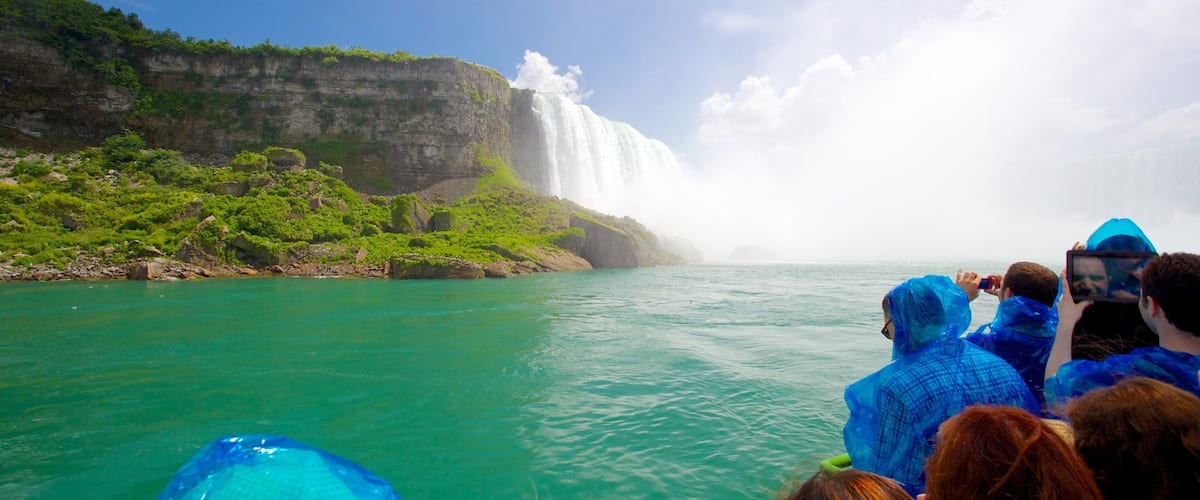 Maid of the Mist showing views, a river or creek and a cascade