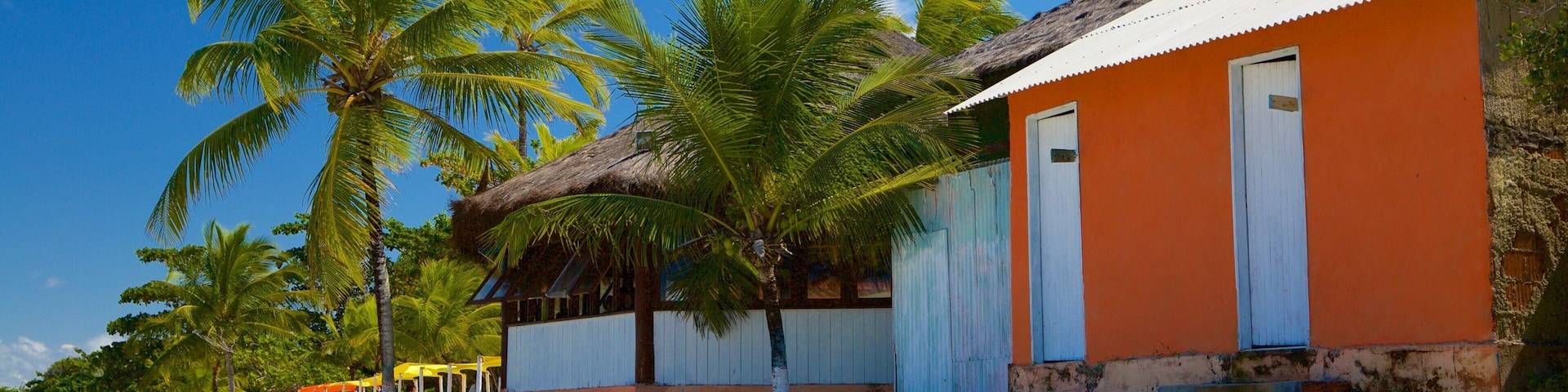 Coroa Vermelha featuring a coastal town and a beach