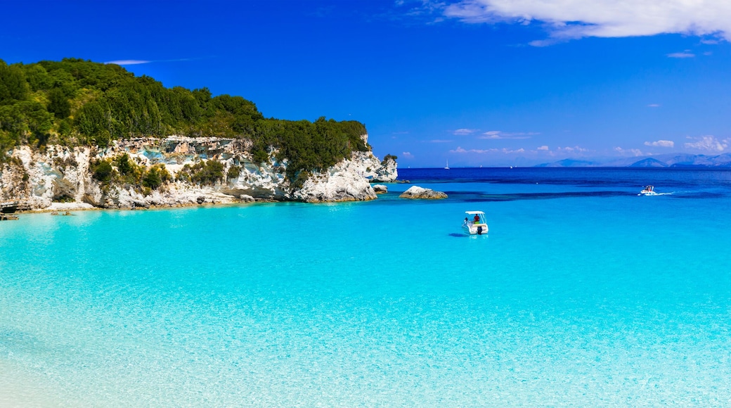 Antipaxos