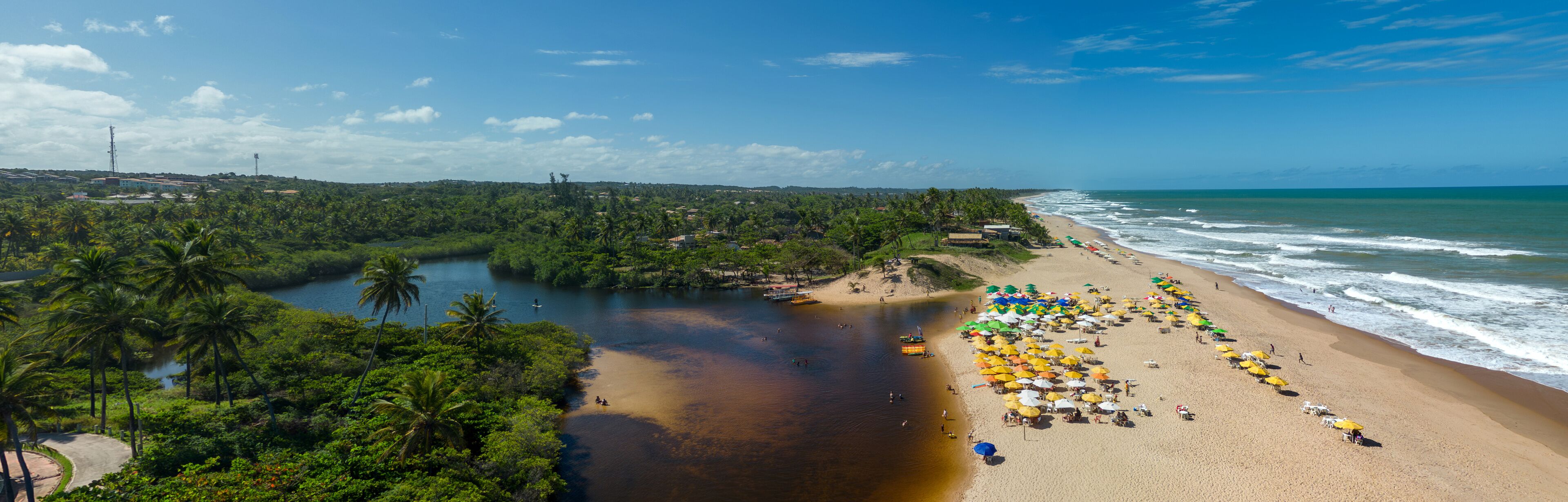 A beach with palm trees, a river, and a clear blue sky.
