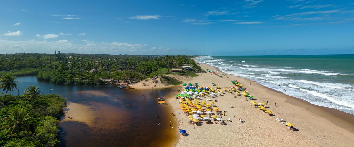 A beach with palm trees, a river, and a clear blue sky.