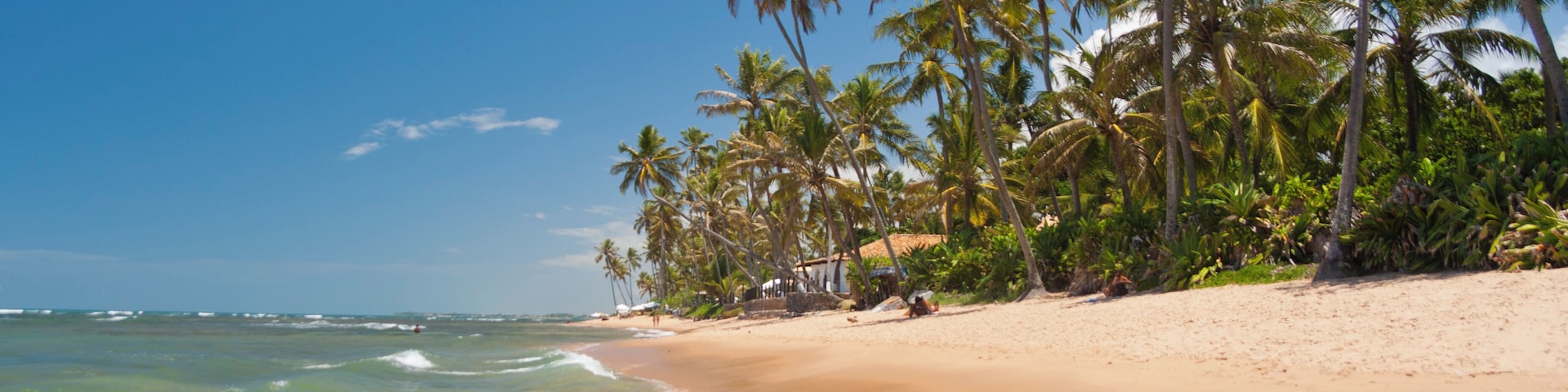 Praia do Forte, Known to be one of Brazil's nicest beaches, this piece of paradise lies in a tiny fishing village, that maintains its tradition and leisurely way of life, and is a couple of hour's dri