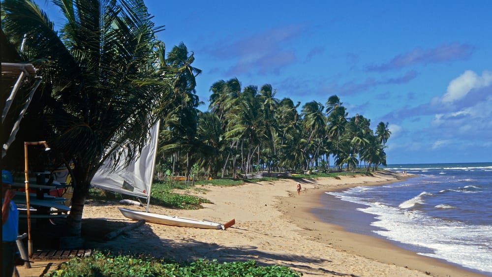 praia do forte beach state of bahia brazil