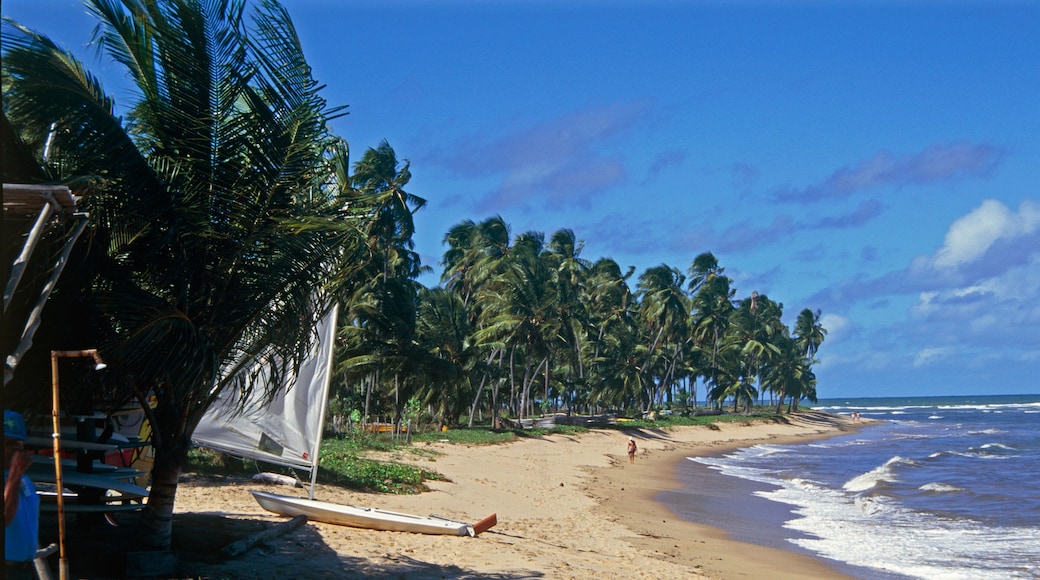 praia do forte beach state of bahia brazil